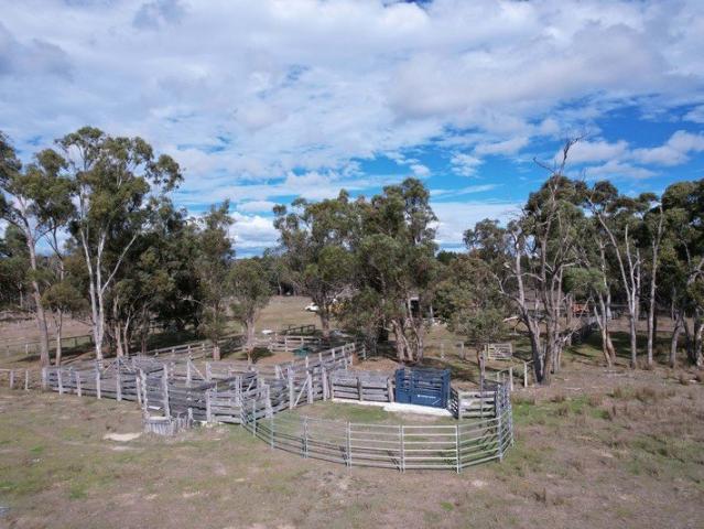 Alloura Q Productive Southern Downs Grazing Opportunity!