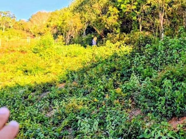ALPES DA MANTIQUEIRA – DELFIM MOREIRA/MG
