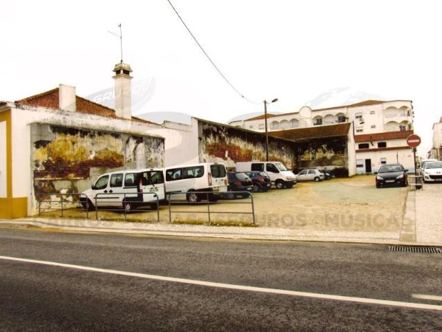 Alpiarça Alpiarça 104550656