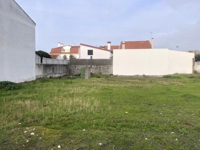 Alpiarça Alpiarça 104074576