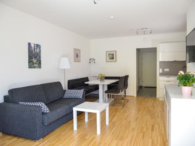 Alpine Apartment Ulla 3 Bad Mitterndorf