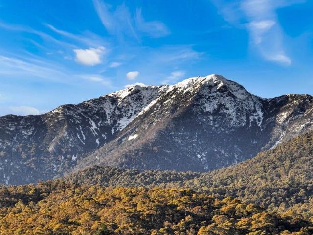 Alpine Living At Its Very Best