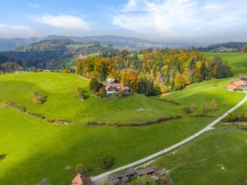 Alpine View