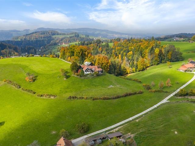 Alpine View