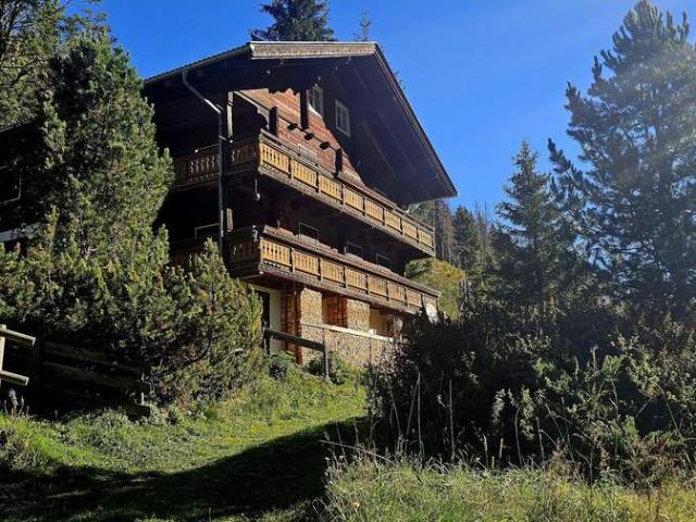 Ferienhaus Alpines Refugium – Naturidylle und Skivergnügen im Defereggental