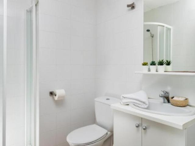 Alquiler 40 Dormitorio Apartamentos Sevilla Sevilla DS103326723