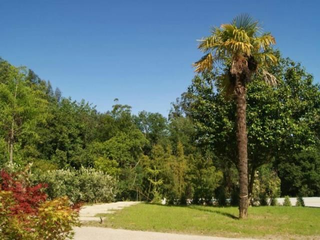 Alquiler 4 Dormitorio Casa Pontedeume Pontedeume DLS102630176