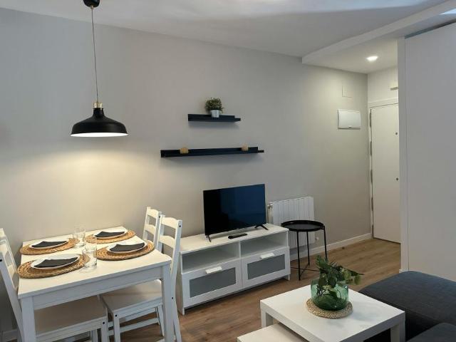 Alquiler 4 Dormitorio Apartamentos Madrid Madrid DLS100721124