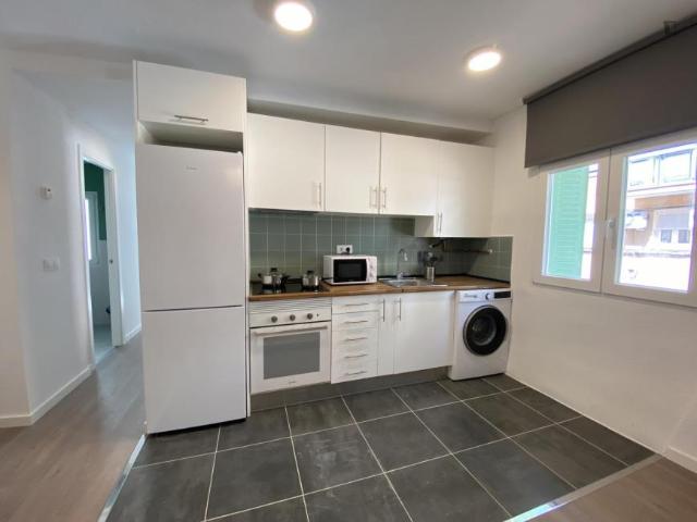 Alquiler 4 Dormitorio Apartamentos Madrid Madrid DS103595031