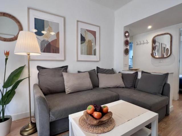 Alquiler 4 Dormitorio Apartamentos Málaga Málaga DS85951827