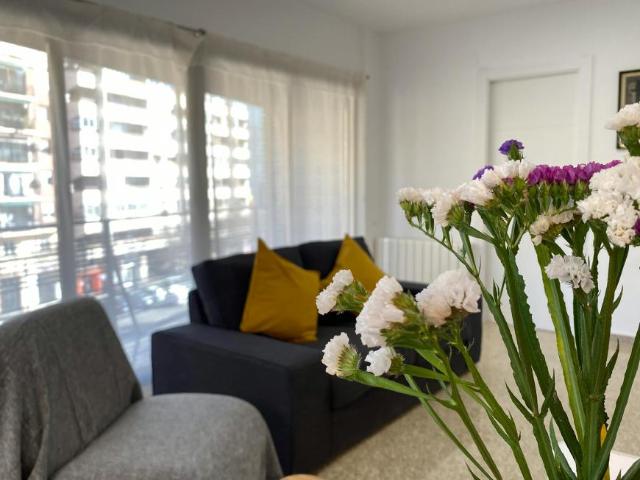 Alquiler 4 Dormitorio Apartamentos Valencia Valencia DS105569229