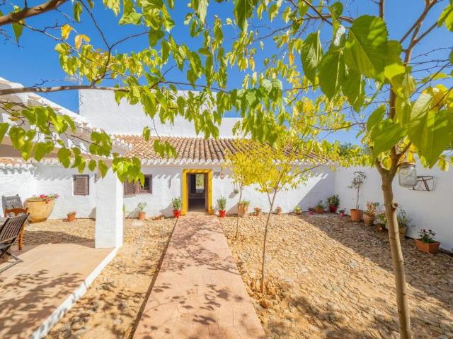 Alquiler 5 Dormitorio Casa Archidona Archidona DS105199306