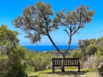 Alquiler 5 Dormitorio Casa Marbella Marbella DS96163283