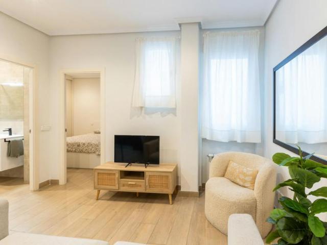 Alquiler 1 Dormitorio Apartamentos Madrid Madrid DLS104225209