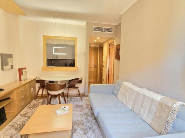 Alquiler 1 Dormitorio Apartamentos Madrid Madrid DLS104435836