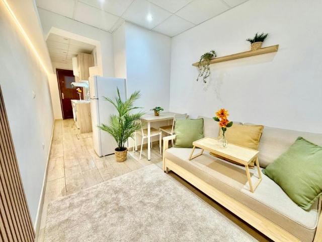 Alquiler 1 Dormitorio Apartamentos Madrid Madrid DLS105249916