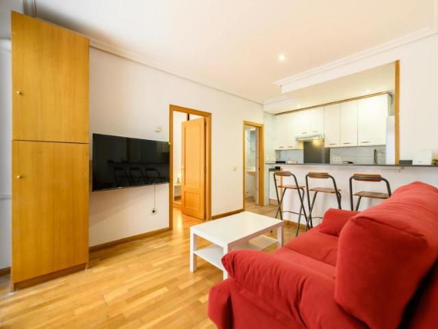 Alquiler 1 Dormitorio Apartamentos Madrid Madrid DLS101774919