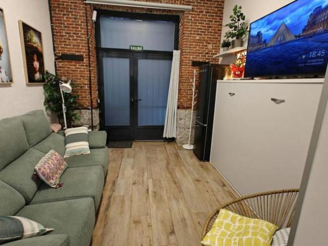 Alquiler 1 Dormitorio Apartamentos Madrid Madrid DLS102813498