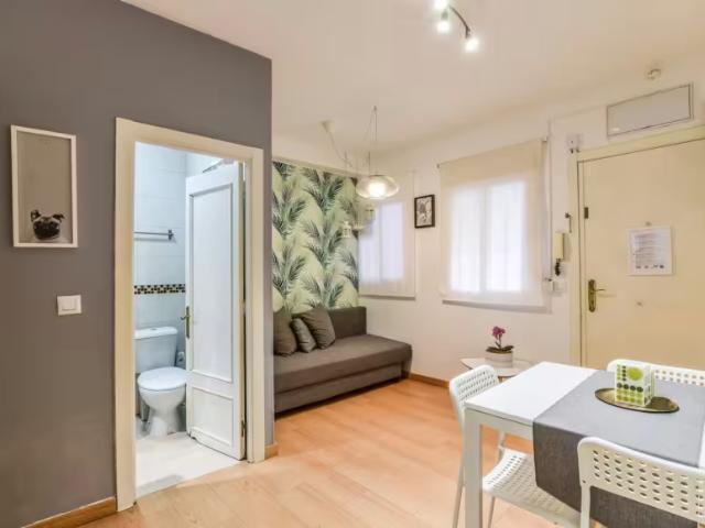 Alquiler 1 Dormitorio Apartamentos Madrid Madrid DLS98022739