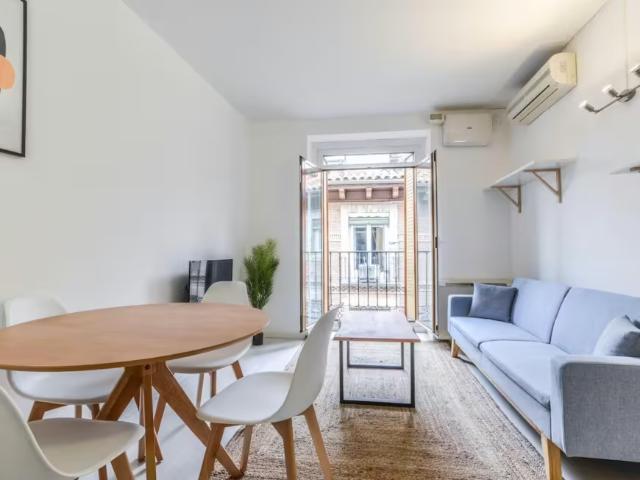 Alquiler 1 Dormitorio Apartamentos Madrid Madrid DLS98022774