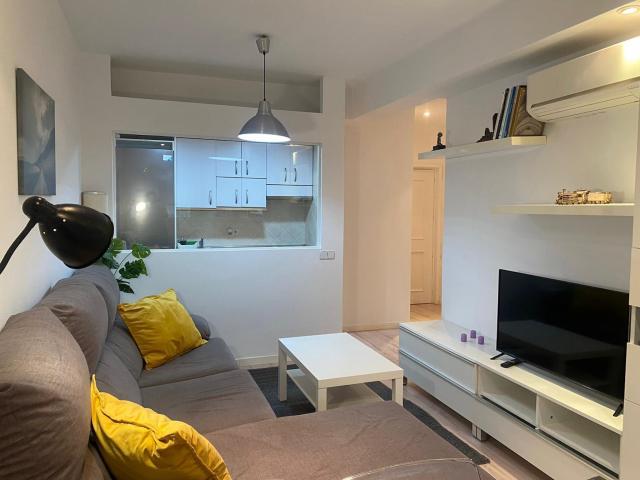 Alquiler 1 Dormitorio Apartamentos Madrid Madrid DS73258731