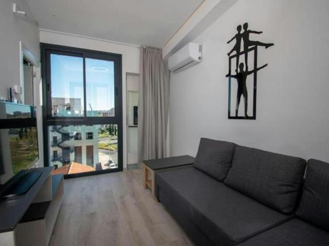 Alquiler 1 Dormitorio Apartamentos Madrid Madrid DS74565187