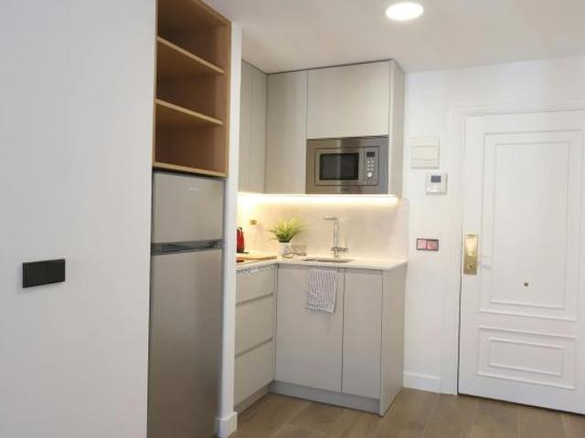 Alquiler 1 Dormitorio Apartamentos Madrid Madrid DS81034600