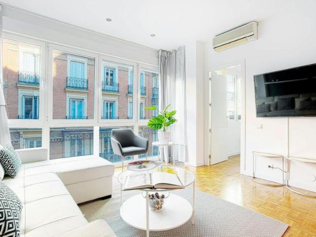 Alquiler 1 Dormitorio Apartamentos Madrid Madrid DS93652828