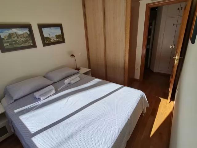 Alquiler 1 Dormitorio Apartamentos Madrid Madrid DS96497328