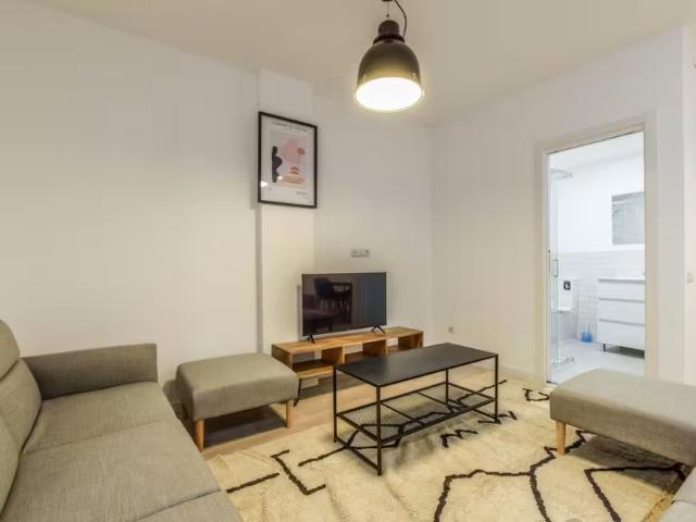 Alquiler 1 Dormitorio Apartamentos Madrid Madrid DS98022776