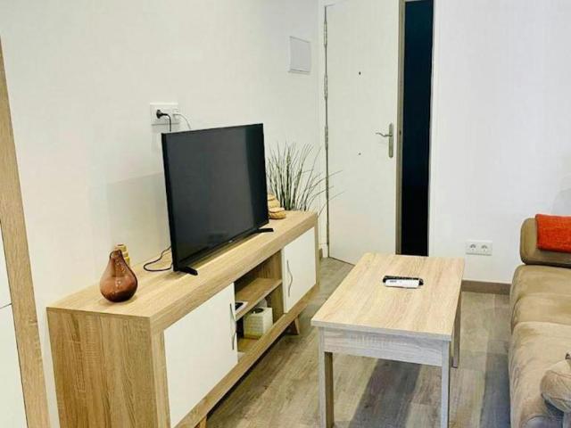 Alquiler 1 Dormitorio Apartamentos Madrid Madrid DS98960039