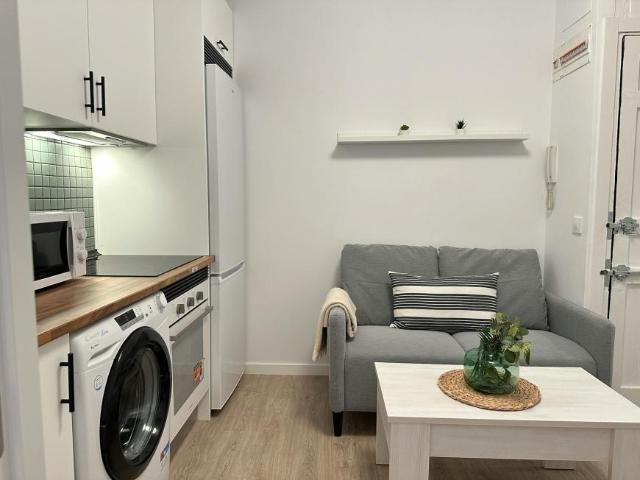 Alquiler 1 Dormitorio Apartamentos Madrid Madrid DS100718546