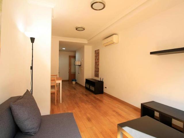 Alquiler 1 Dormitorio Apartamentos Madrid Madrid DS100843561
