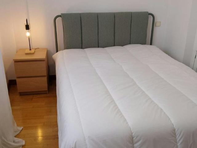 Alquiler 1 Dormitorio Apartamentos Madrid Madrid DS101304847