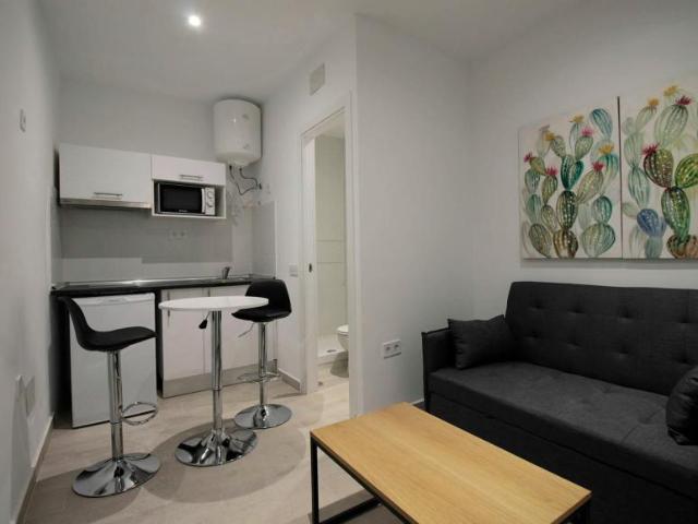 Alquiler 1 Dormitorio Apartamentos Madrid Madrid DS102854633