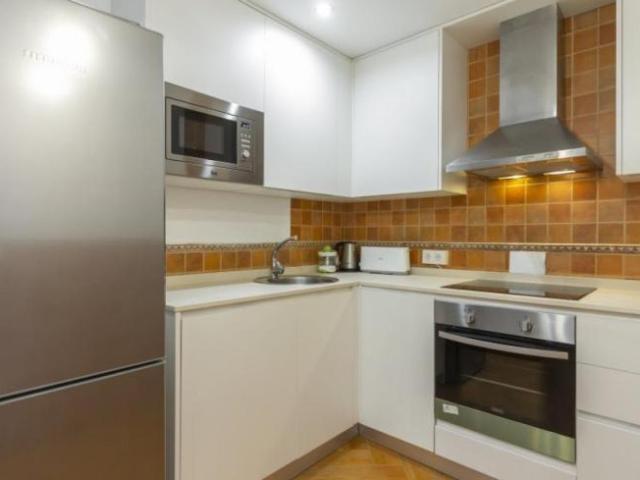 Alquiler 1 Dormitorio Apartamentos Madrid Madrid DS103595029