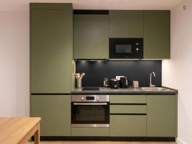Alquiler 1 Dormitorio Apartamentos Madrid Madrid DS103595345
