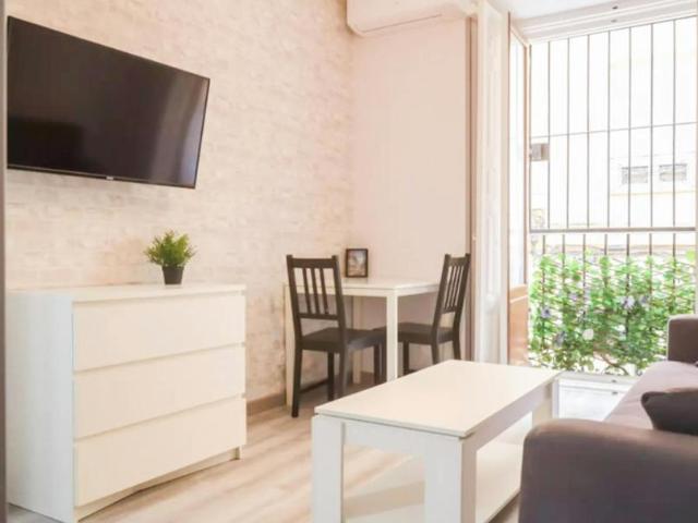 Alquiler 1 Dormitorio Apartamentos Madrid Madrid DS103654511