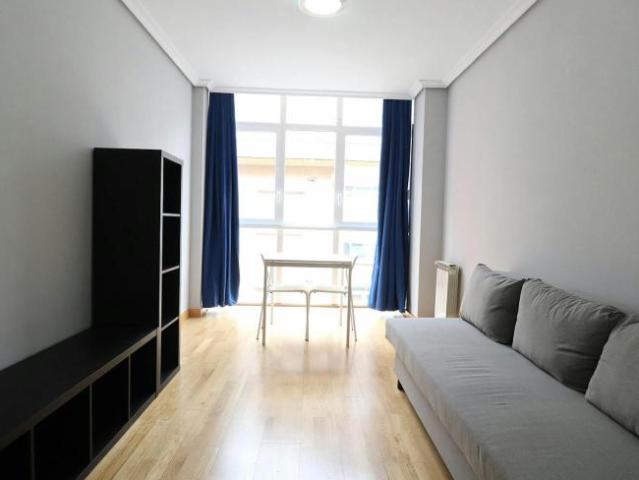 Alquiler 1 Dormitorio Apartamentos Madrid Madrid DS103656544