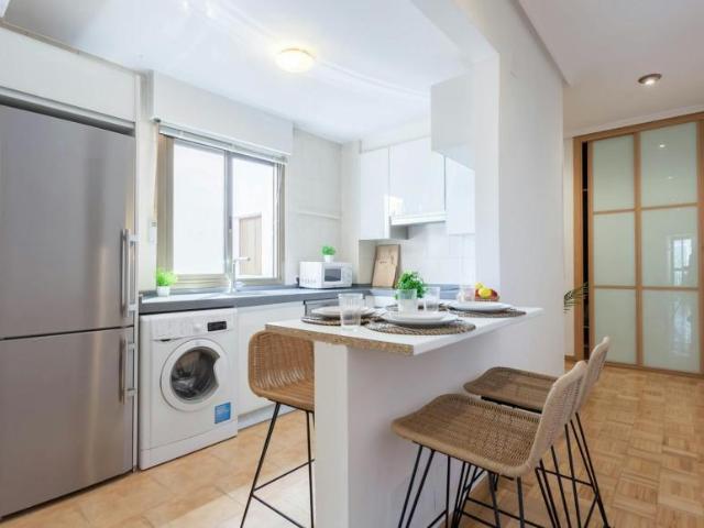 Alquiler 1 Dormitorio Apartamentos Madrid Madrid DS103922004