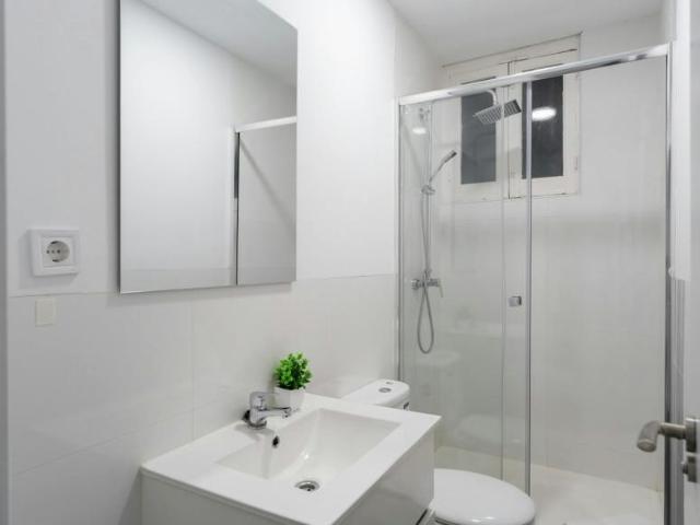 Alquiler 1 Dormitorio Apartamentos Madrid Madrid DS103922112