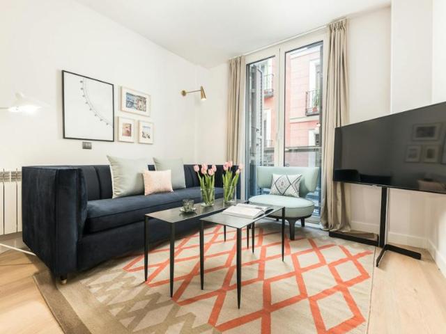 Alquiler 1 Dormitorio Apartamentos Madrid Madrid DS103959848