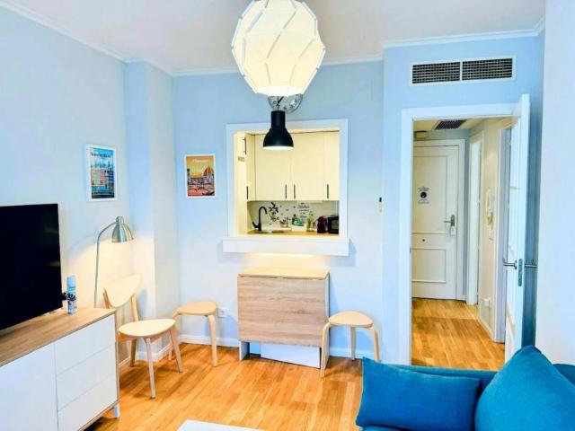 Alquiler 1 Dormitorio Apartamentos Madrid Madrid DS103244247