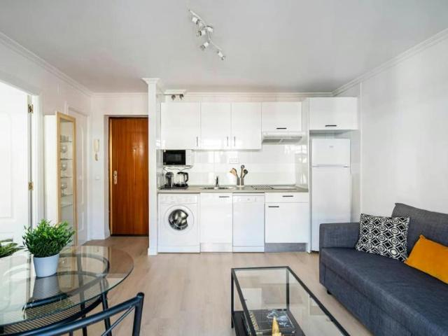 Alquiler 1 Dormitorio Apartamentos Madrid Madrid DS103244298
