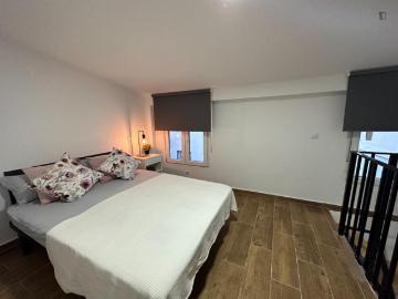 Alquiler 1 Dormitorio Apartamentos Madrid Madrid DS103267883