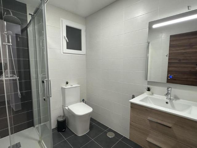 Alquiler 1 Dormitorio Apartamentos Madrid Madrid DS103269622
