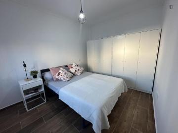 Alquiler 1 Dormitorio Apartamentos Madrid Madrid DS103269301
