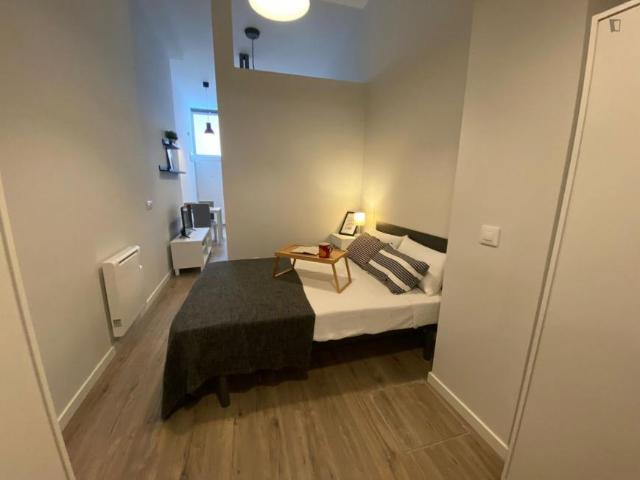 Alquiler 1 Dormitorio Apartamentos Madrid Madrid DS103270023