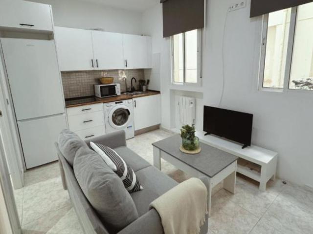Alquiler 1 Dormitorio Apartamentos Madrid Madrid DS103270083