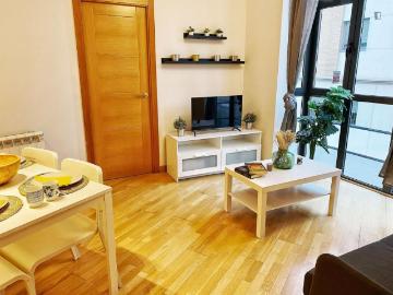 Alquiler 1 Dormitorio Apartamentos Madrid Madrid DS103270238